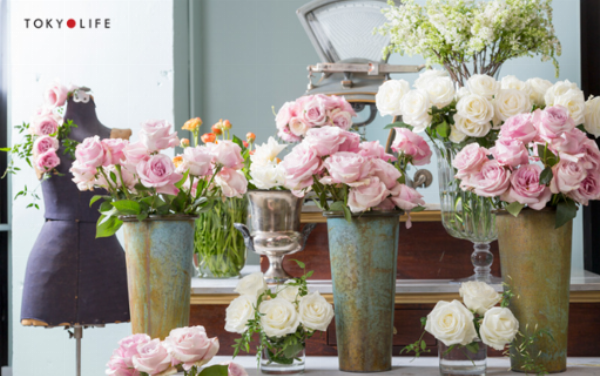 Các kỹ thuật in ấn độc đáo cho thiệp Giáng Sinh lãng mạn, mang lại trải nghiệm cảm xúc