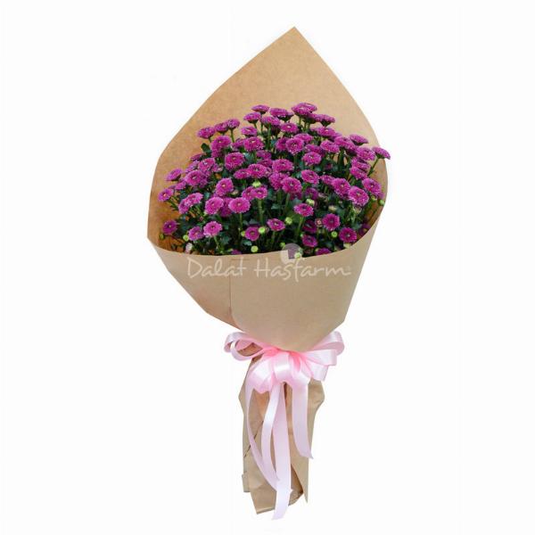 Quy trình đặt in thiệp chúc sức khỏe chuyên nghiệp tại Thiệp Xinh Online, từ khâu tư vấn đến giao hàng