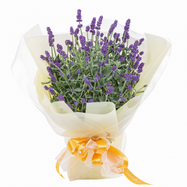 Quy trình in thiệp chia tay đồng nghiệp chuyên nghiệp tại Thiệp Xinh Online, từ thiết kế đến thành phẩm