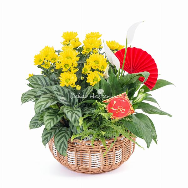 Quy trình in thiệp Tết chuyên nghiệp tại Thiệp Xinh Online, từ thiết kế đến giao hàng